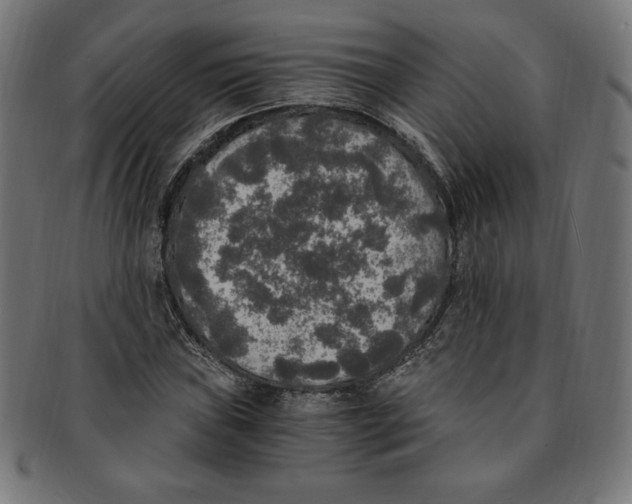 X0000091201019200709061409