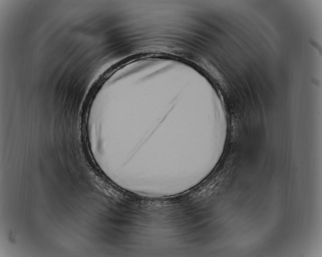 X0000091201020200709061409