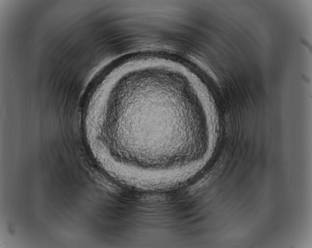 X0000091201021200709061409