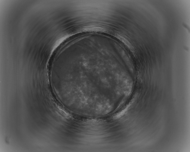 X0000091201022200709061409