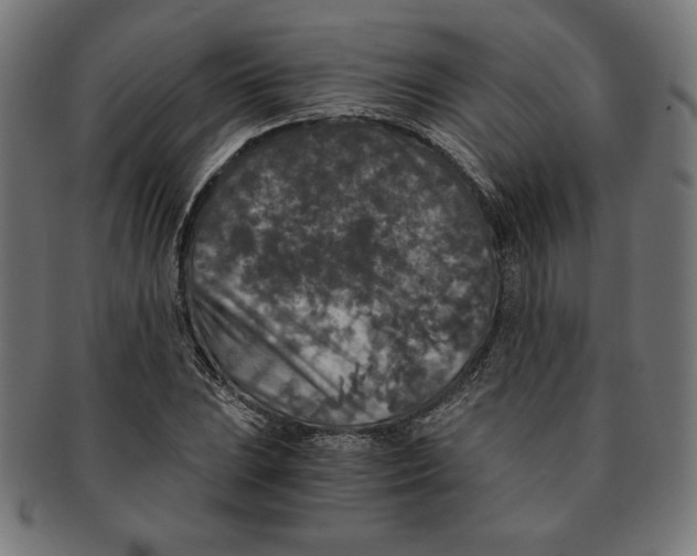 X0000091201023200709061409