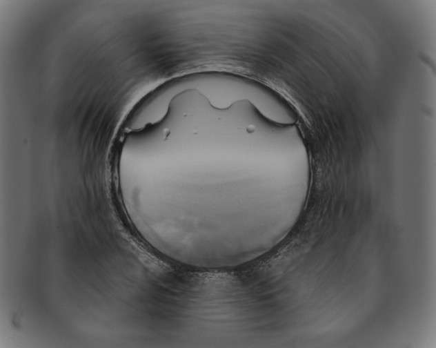 X0000091201024200709061409