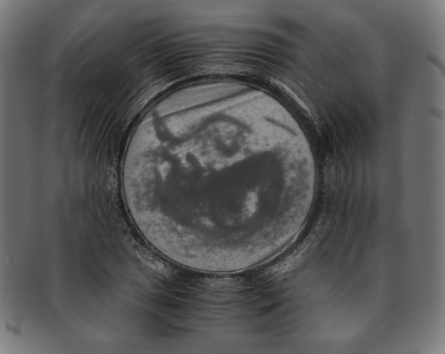 X0000091201025200709061409