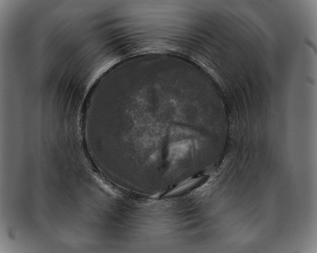 X0000091201026200709061409