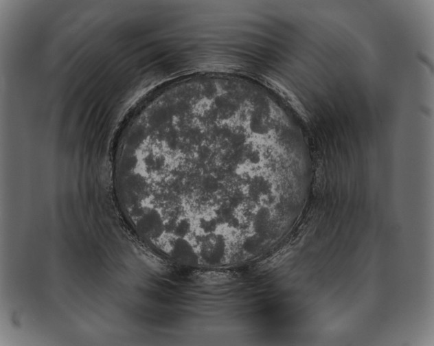 X0000091201027200709061409