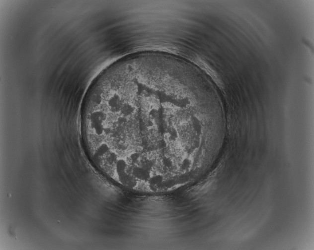 X0000091201028200709061409