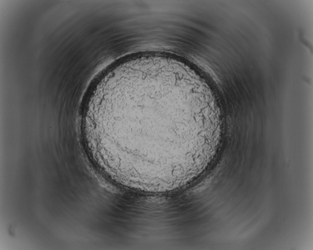 X0000091201029200709061409