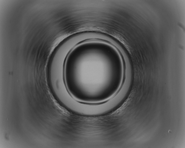 X0000091201030200709061409
