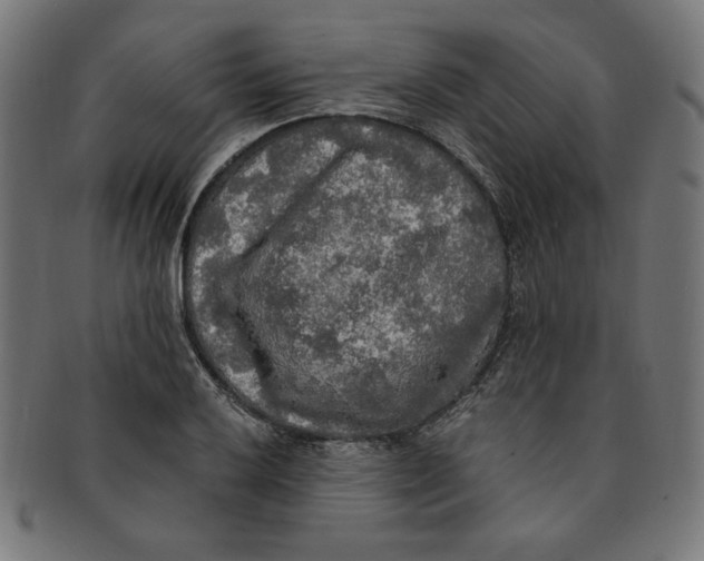 X0000091201032200709061409
