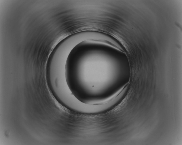 X0000091201034200709061409