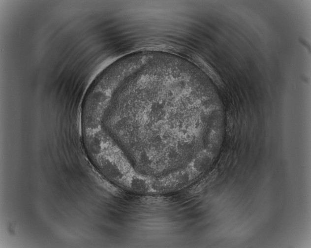 X0000091201036200709061409