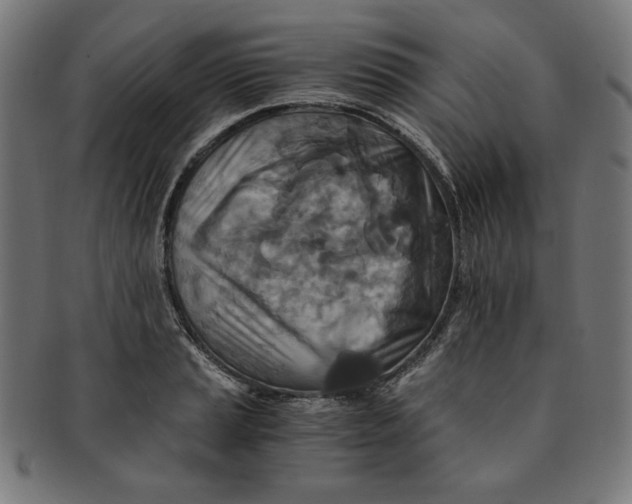 X0000091201037200709061409