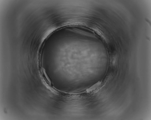 X0000091201038200709061409