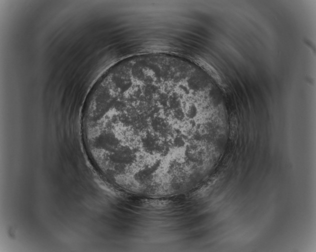 X0000091201039200709061409