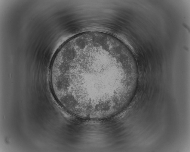 X0000091201040200709061409