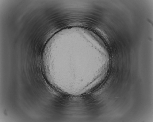 X0000091201041200709061409