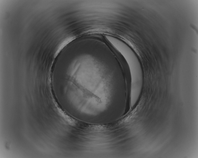 X0000091201042200709061409