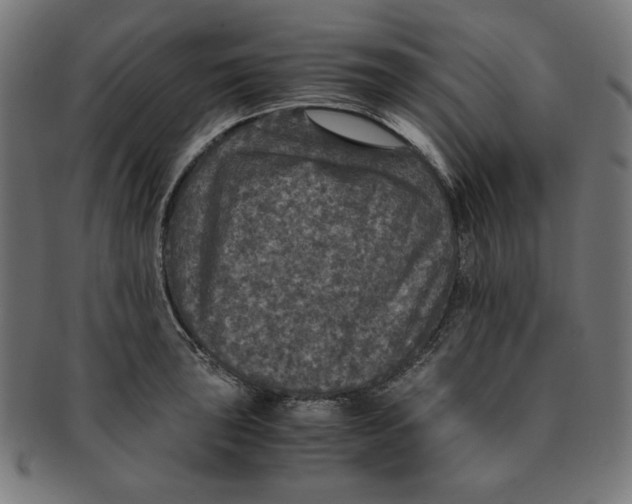 X0000091201043200709061409
