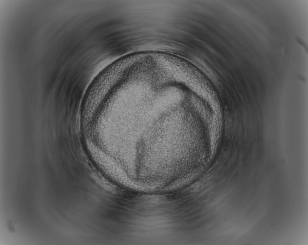 X0000091201044200709061409