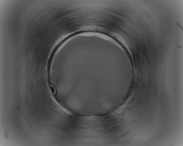 X0000091201045200709061409
