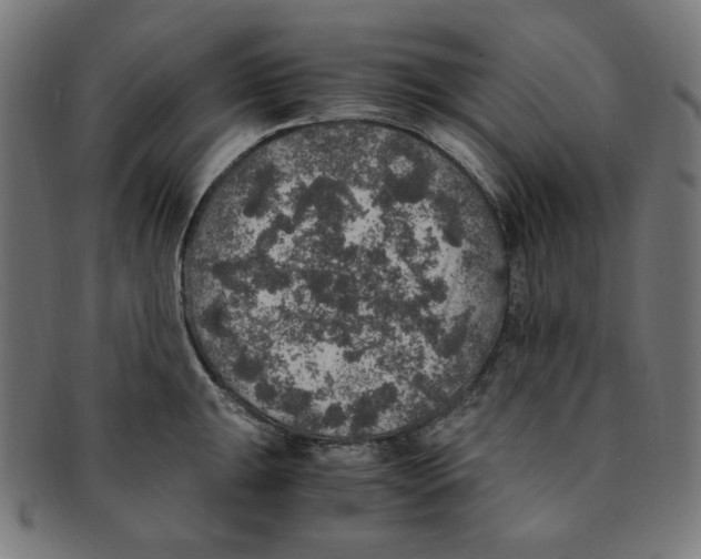 X0000091201047200709061409
