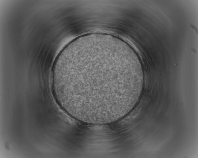 X0000091201048200709061409