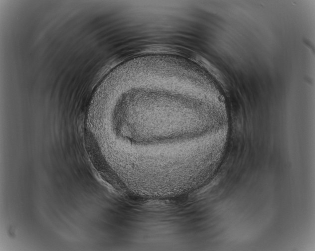 X0000091201049200709061409