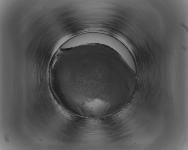 X0000091201050200709061409
