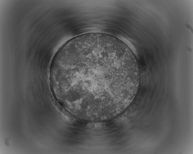X0000091201051200709061409