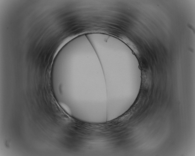 X0000091201052200709061409