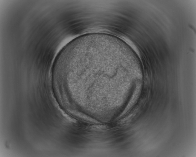 X0000091201053200709061409