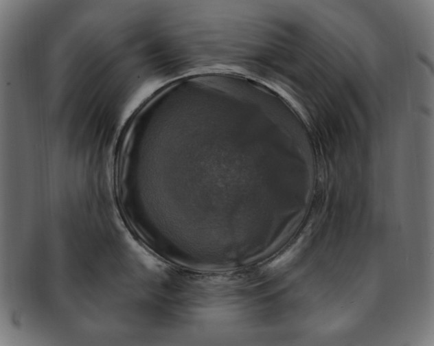 X0000091201054200709061409