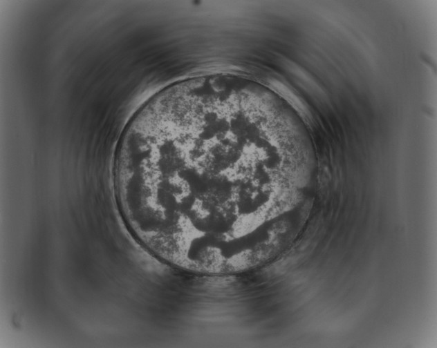 X0000091201055200709061409