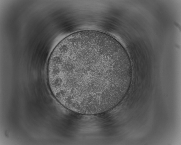 X0000091201056200709061409