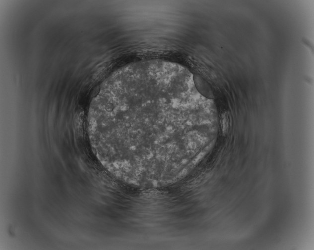 X0000091201059200709061409