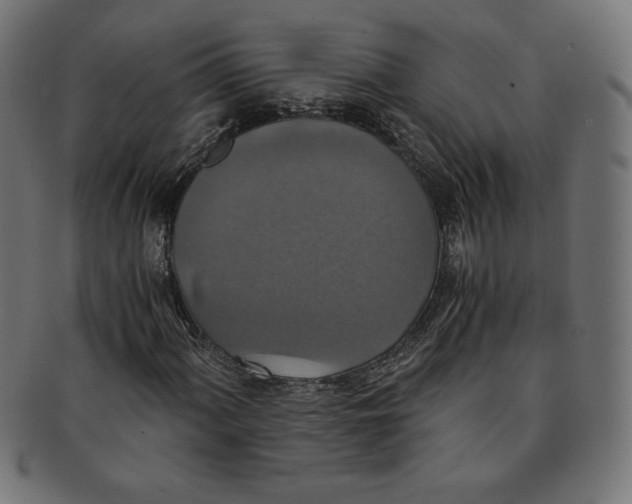 X0000091201060200709061409