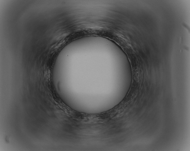 X0000091201061200709061409