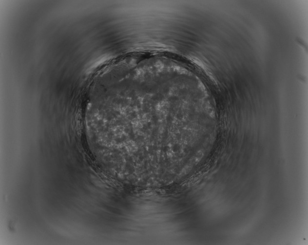 X0000091201063200709061409
