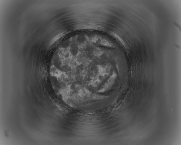 X0000091201064200709061409