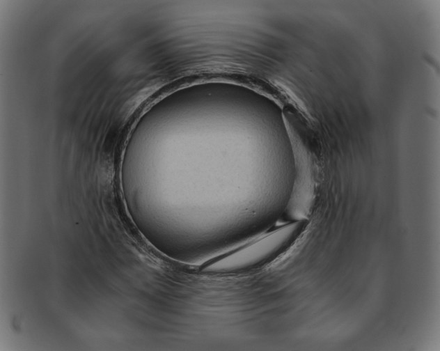 X0000091201065200709061409