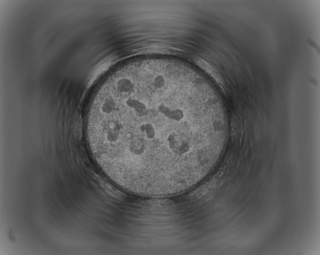 X0000091201067200709061409