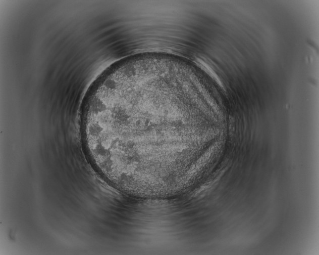 X0000091201068200709061409