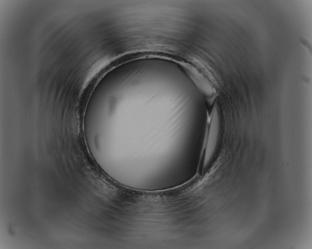 X0000091201069200709061409