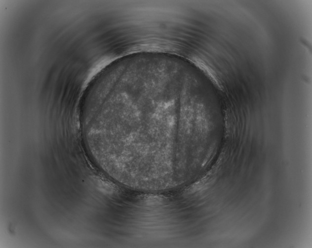 X0000091201070200709061409