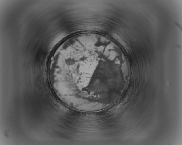 X0000091201071200709061409