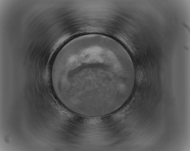 X0000091201074200709061408