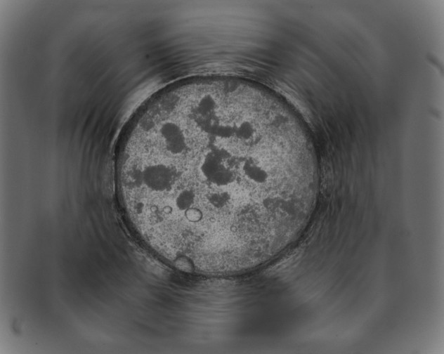 X0000091201075200709061408