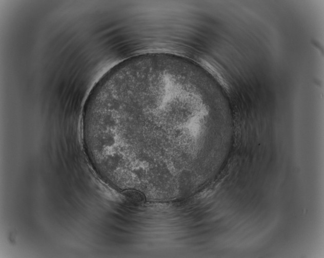 X0000091201076200709061408
