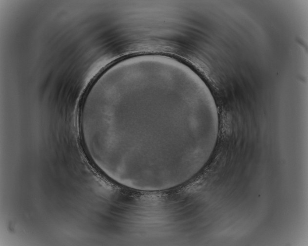 X0000091201078200709061408