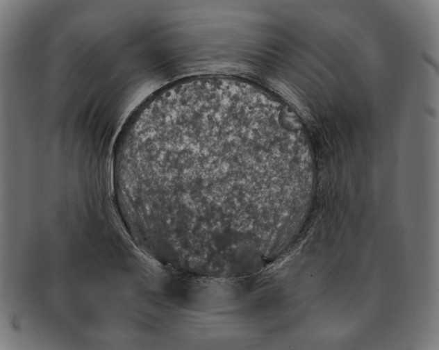 X0000091201079200709061408